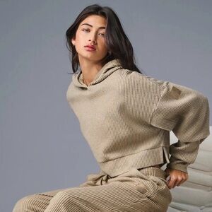 ALO Muse Ribbed Hoodie in gravel heather sz S NWOT